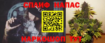 стаф Нарткала