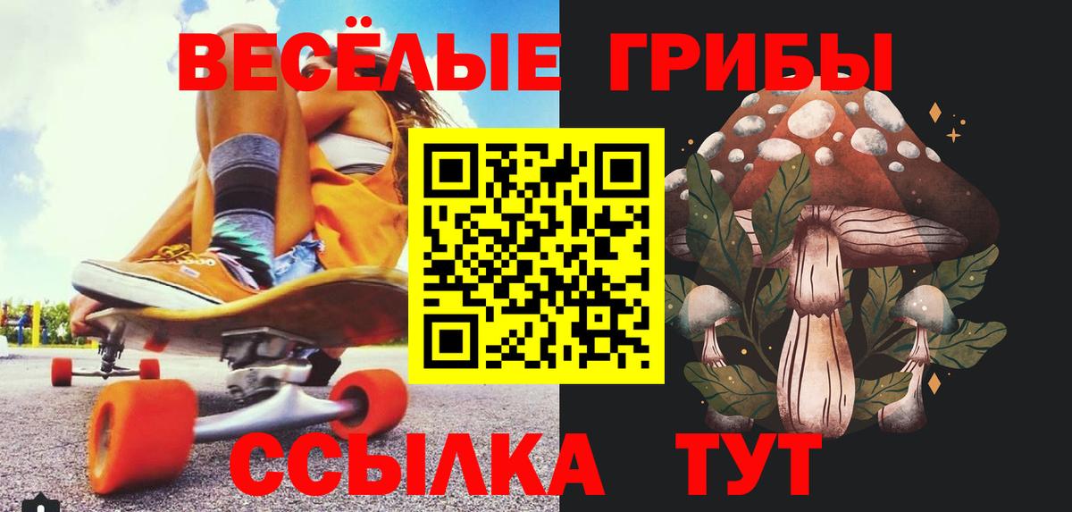 Галлюциногенные грибы Cubensis Строитель