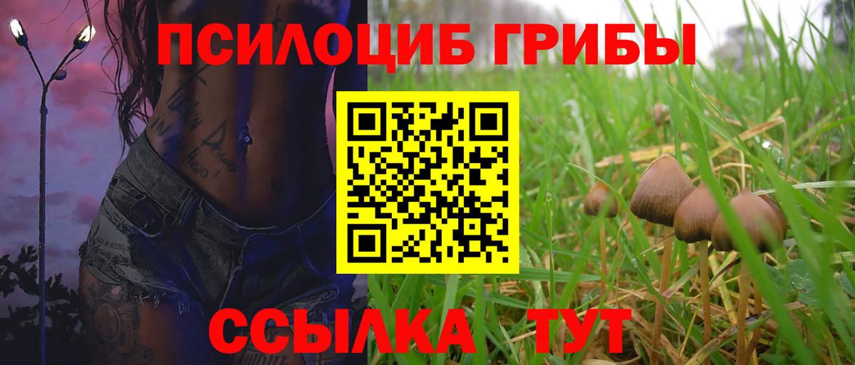 Псилоцибиновые грибы Cubensis  Вход с VPN  Строитель 